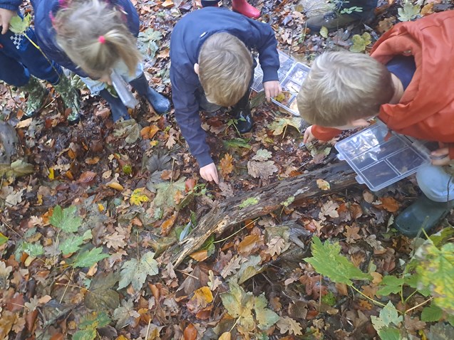 1000079767 1000079767