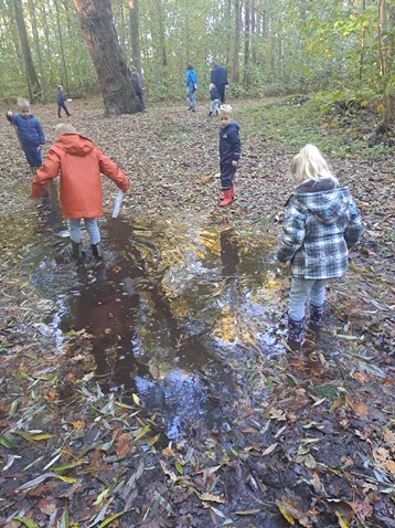 1000079774 1000079774