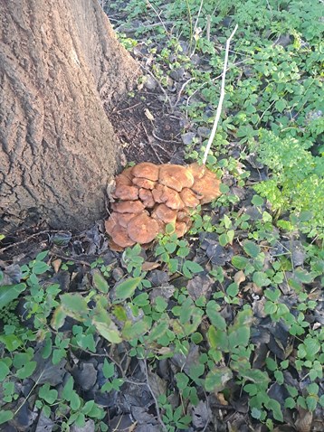 1000079780 1000079780